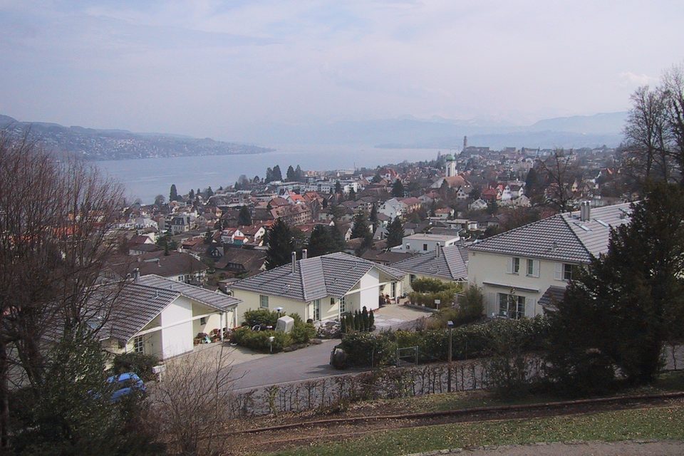 Reinigung in Thalwil – Ortsansicht von Thalwil