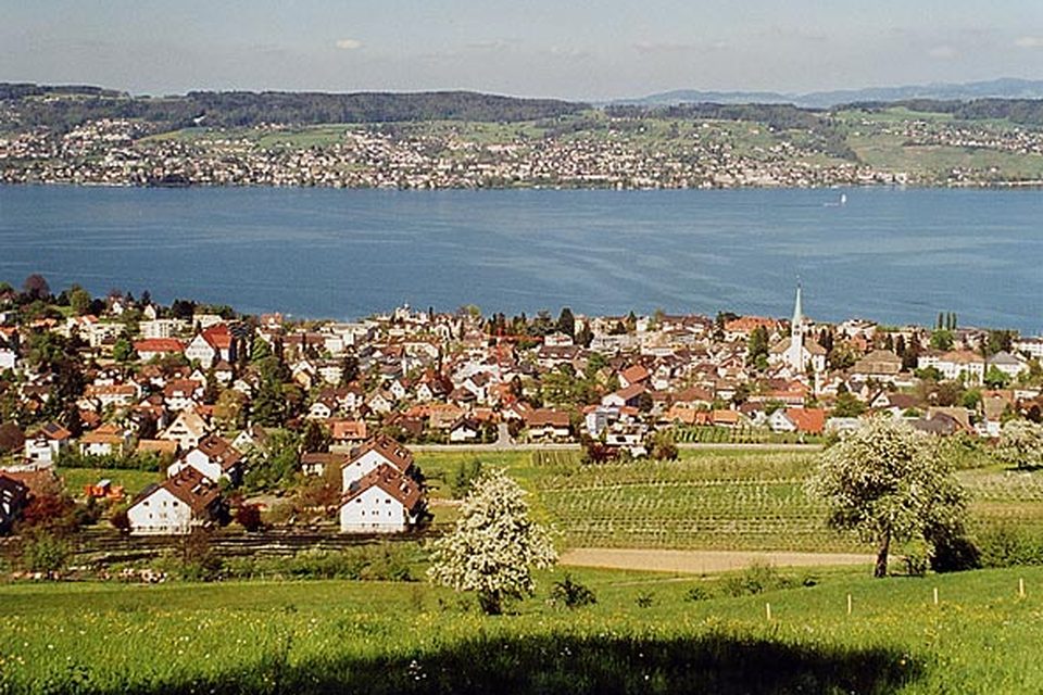 Reinigung in Wädenswil – Ortsansicht von Wädenswil